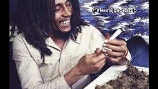 Legalizenla Bob Marley Viejas Locas IA cover [upl. by Eronel]