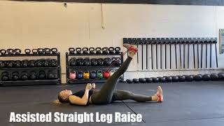 Assisted Straight Leg Raise [upl. by Airehs]