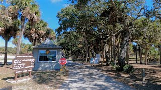 Scenic Drive to Edisto Beach State Park via Rt 174 from 17  South Carolina  Lowcountry [upl. by Ralf325]