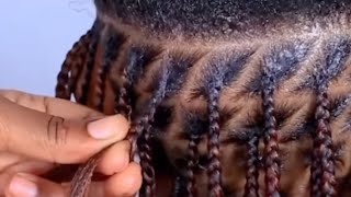 HOW TO DO KNOTLESS BOX BRAIDS  BEGINNER [upl. by Atilrac]