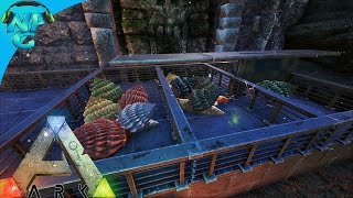 S3E6  Base Improvements and a Achatina Farm ARK Survival Evolved PVP Season [upl. by Malcom820]