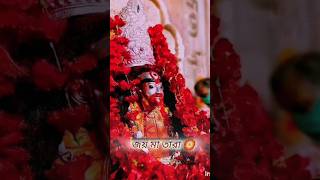 তারা মা তারাপীঠের কালি মা🌺🌺🌺jaymaa tara shortsvideo 2024 i Love Arun [upl. by Aziram]