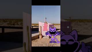 Pov Beach Prank from Catnap  Smiling critters [upl. by Huei77]