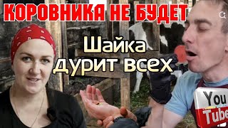 Деревенский дневник Коровника не будет Шайка дурит всех Обзор Матьгероиня Леля Быкова [upl. by Peterman]