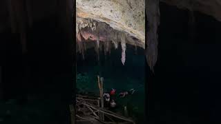 Cave diving in Progresso 🇲🇽 [upl. by Rapsag]