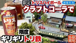 【トリハイ】限定クラフトコーラで限度ギリギリ『トリ鉄』【減塩生活】 [upl. by Norud627]