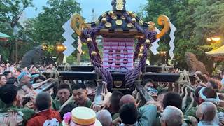 Asakusa Japan 本社神輿宮入り 令和５年浅草神社例大祭（三社祭） [upl. by Ahsienar617]