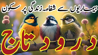 Daily Darood Sharif  Darood e Taj  Heart Touching Voice Darood e Taj  By Imtiaz Ahmad  درودتاج [upl. by Schacker]