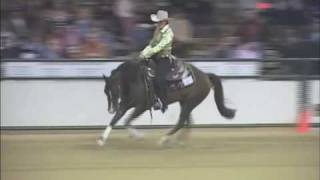 2007 CRBC Reining CRI  FEI Masters Qualifier  Nicole Brown  Nifty Beginnings [upl. by Inahet]