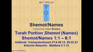 Torah Portion Shemot 162024 [upl. by Omoj117]