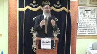 Rabbi Label Lam on quotThe Hidden World in Which we Livequot [upl. by Cleland]