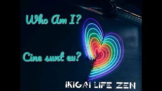 Who am I  Cine sunt eu  o poveste despre ciclicitatea vietii film subtitrat romana [upl. by Htnnek]