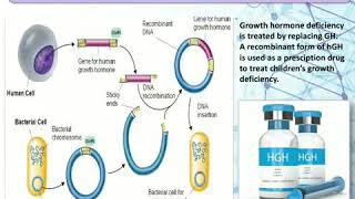 Human growth hormone Somatostatin production using Recombinant DNA Technology method [upl. by Evangelist851]