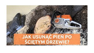 USUWANIE PNIA ŚCIĘTEGO DRZEWA  Frezarka do pni ściętych drzew frezowanie pnia FREZARKA DO PNI [upl. by Riancho]