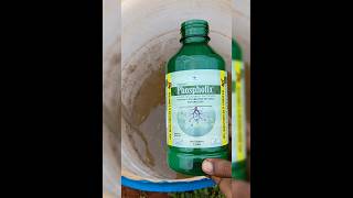 Phosphate solubilizing bacteria iplfert phospahte organicfarming tamilagriculture [upl. by Ahsal]