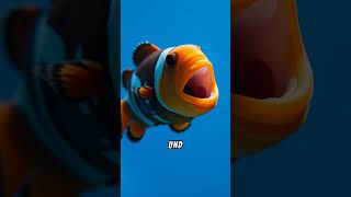 Clownfische Mehr als nur Nemo 🐠 [upl. by Della]