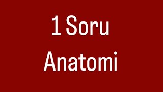 Ligamentum Latum Uteri Anatomi Soru Çözümü [upl. by Rennob614]