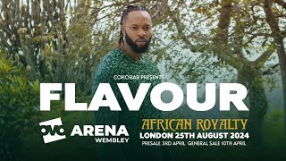 FLAVOUR THE CONCERT OVO ARENA WEMBLEY 2024 FULL CONCERT [upl. by Sheehan]