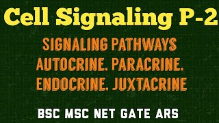 CELL SIGNALING PART 2  AUTOCRINE PARACRINE ENDOCRINE AND JUXTRACRINE PATHWAYS [upl. by Dnamron920]