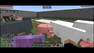 Minecraft Wolf SMP Season 2 tập 8 làm ruộng dưa hấu 🍉 [upl. by Montfort]