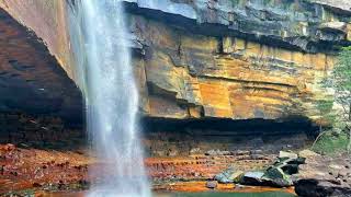 Gerringong Falls at Budderoo National Park Australia [upl. by Tellford]