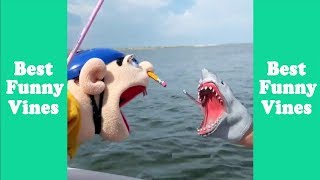 Funny Shark Puppet Compilation 2019  Shark Puppet Clips  Best Funny Vines [upl. by Cornall589]