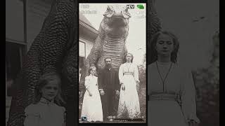 Giant Lazard omiomi story youtubeshorts history historia historical fyp foryou viral [upl. by Gaiser32]