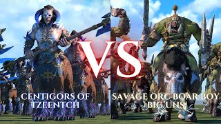 WARHAMMER III Total War  Centigors of Tzeentch VS Savage Orc Boar Boy BigUns [upl. by Kelwunn]