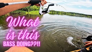 Epic Kayak Bass Fishing Adventure with new friend ShannenAgainsFishing Some pond fishing too [upl. by Lohcin736]