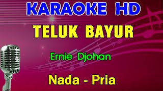 TELUK BAYUR  Ernie Djohan  KARAOKE Nada Pria  Lagu Lawas [upl. by Sarazen399]