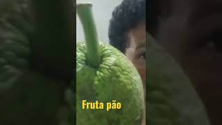 fruta pão vc conhece [upl. by Loos]