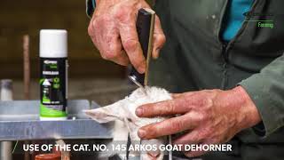 Use of the Cat No 145 arkos goat dehorner by Express Farming [upl. by Tdnarb186]