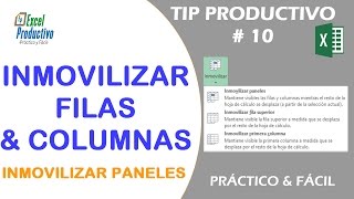 Inmovilizar Filas y Columnas en Excel Inmovilizar Paneles Tip  10 [upl. by Sethrida924]