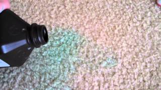 Set in Stain on Carpet how to get rid of it [upl. by Mastat]