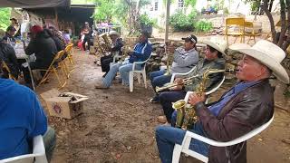 Dos Palomas al Volar Con Banda de Viento San Ildefonso Salinas Oaxaca [upl. by Grimona]