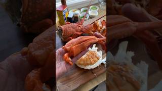 Lobster roe eggs lobster spinylobster lobstertail roe eggs seafood foodgasm [upl. by Chainey235]