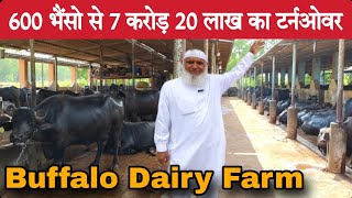 बड़ा भाई 28 साल सऊदी में कामकर 600 भैंसो का Farm बनाया छोटे भाइयों के लिए  Big Buffalo Dairy Farm [upl. by Atipul]