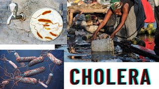 vibrio cholera  causes symptoms prevention diagnosis [upl. by Treharne]