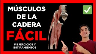 ✅ MÚSCULOS FLEXORES Y EXTENSORES de la CADERA aprender FÁCIL [upl. by Roinuj895]