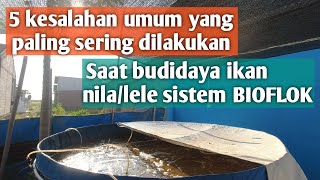 5 KESALAHAN UMUM YANG SERING DILAKUKAN PEMBUDIDAYA IKAN NILALELE SISTEM BIOFLOK [upl. by Cochrane]