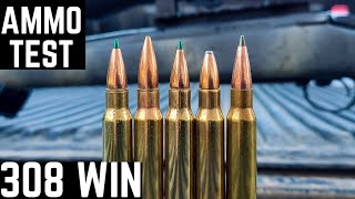 308 Win Ammo Test  Bergara B14 Wilderness Ridge Carbon [upl. by Randall82]