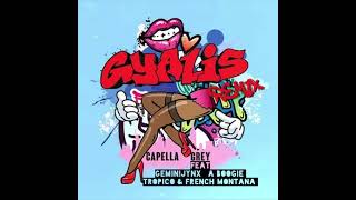 GYALIS REMIX  A Boogie French Montana Tropico GeminiJynX Capella Grey [upl. by Lemuelah791]