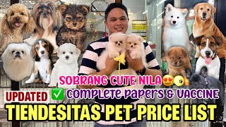 OCT 2023 UPDATED PET PRICE LIST IN TIENDESITAS PET VILLAGE🐶🐱🐾100LEGIT PURE BREEDS MUST WATCH [upl. by Karmen291]