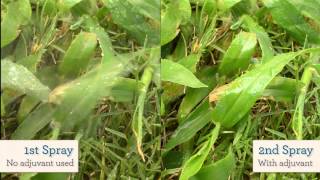 The Benefit of Adjuvants in a Foliar Spray Program [upl. by Suedaht]