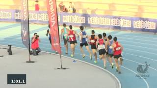 2013 Zatopek Mens 800m [upl. by Kammerer]