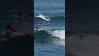 Bali Surfing Keramas Beach 25 November 2024 surf surfersofbali [upl. by Blase]