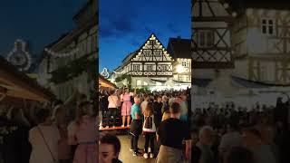 Weinfest Zeil am Main 2022 5 [upl. by Tyrone]