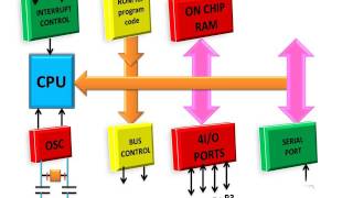 Internal Architecture Of 8051 Microcontroller हिन्दी [upl. by Sad803]