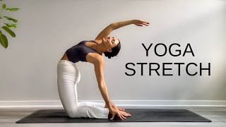 15 Minute Yoga Stretch Break  Open Your Body amp Feel Amazing [upl. by Granniah]