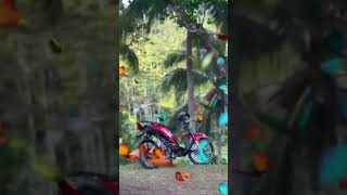 Raja Rimbaa 130cc balapbali balapliar shortvideo [upl. by Accebar718]